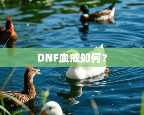 DNF血戒如何？