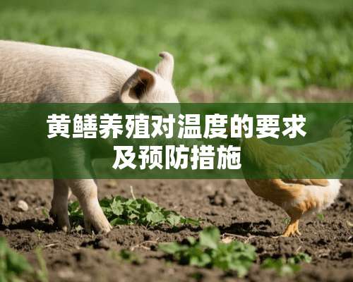 黄鳝养殖对温度的要求及预防措施