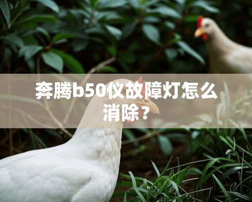 奔腾b50仪故障灯怎么消除？