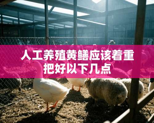 人工养殖黄鳝应该着重把好以下几点