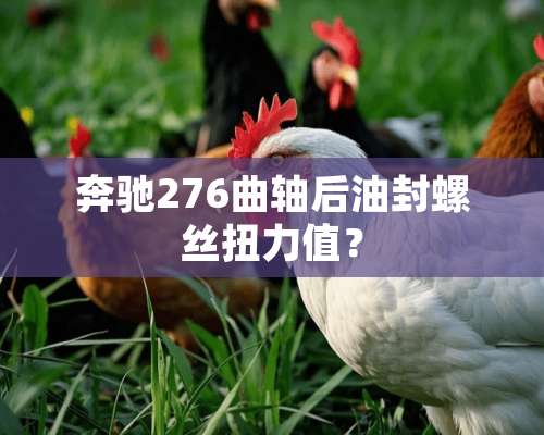 奔驰276曲轴后油封螺丝扭力值？