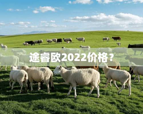 途睿欧2022价格？