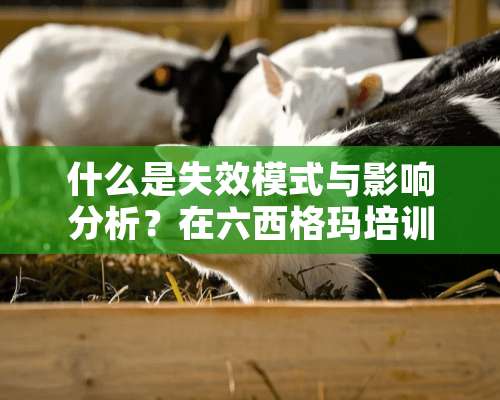 什么是失效模式与影响分析？在六西格玛培训哪个阶段用到？