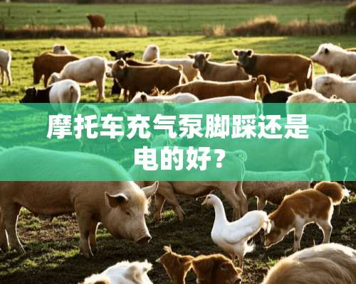 摩托车充气泵脚踩还是电的好？