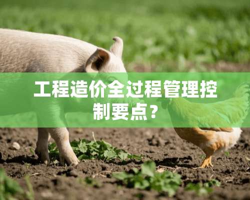 工程造价全过程管理控制要点？