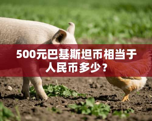 500元巴基斯坦币相当于人民币多少？