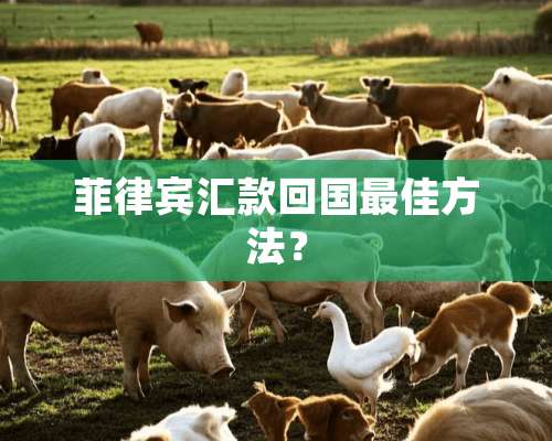 菲律宾汇款回国最佳方法？