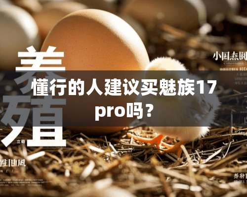 懂行的人建议买魅族17pro吗？