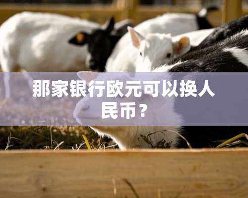 那家银行欧元可以换人民币？