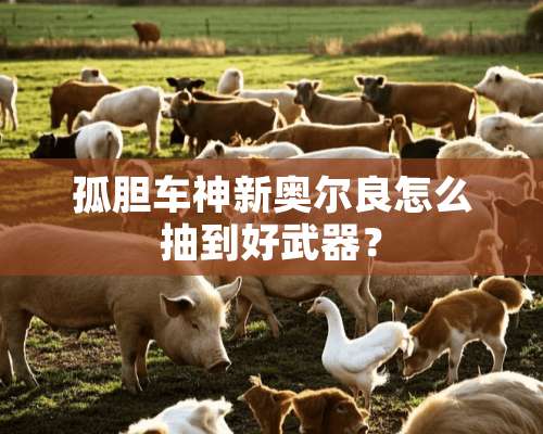 孤胆车神新奥尔良怎么抽到好**？