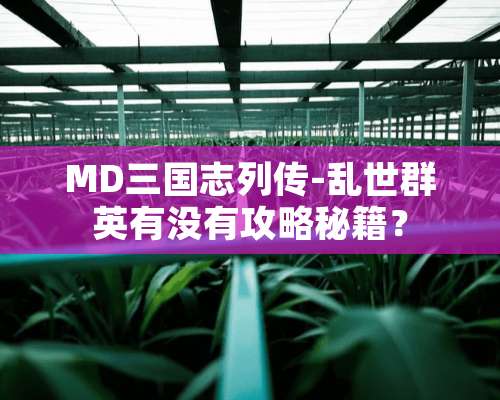 MD三国志列传-乱世群英有没有攻略秘籍？