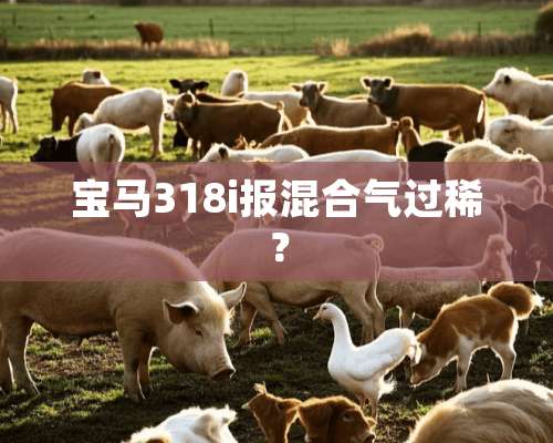 宝马318i报混合气过稀？