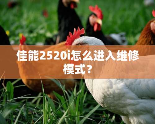 佳能2520i怎么进入维修模式？