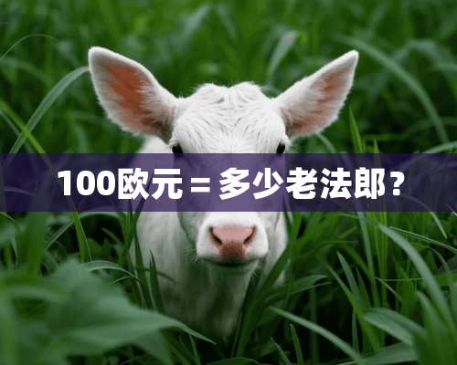 100欧元＝多少老法郎？