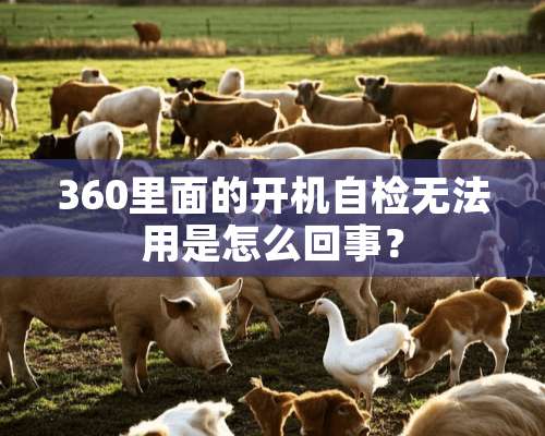 360里面的开机自检无法用是怎么回事？