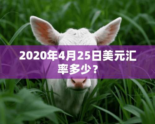 2020年4月25日美元汇率多少？