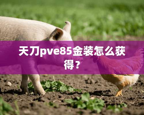 天刀pve85金装怎么获得？