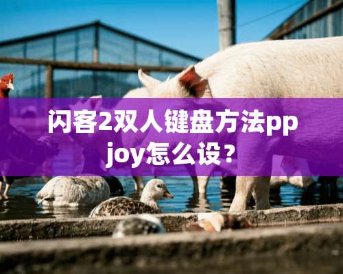 闪客2双人键盘方法ppjoy怎么设？