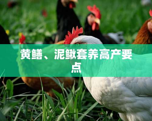 黄鳝、泥鳅套养高产要点