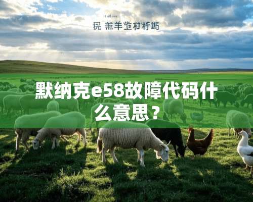 默纳克e58故障代码什么意思？