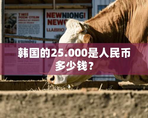 韩国的25.000是人民币多少钱？