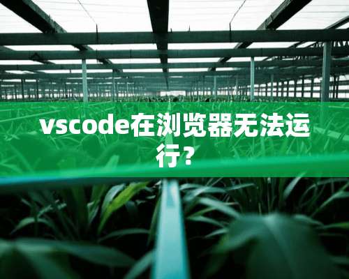 vscode在浏览器无法运行？