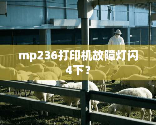 mp236打印机故障灯闪4下？