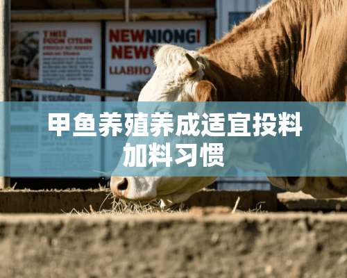 甲鱼养殖养成适宜投料加料习惯