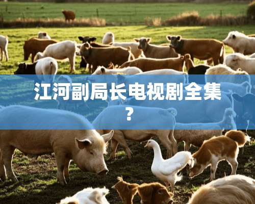 江河副局长电视剧全集？