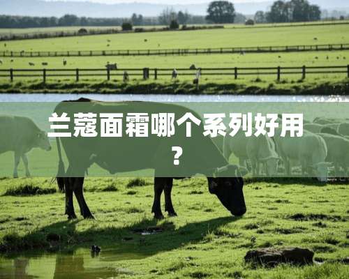 兰蔻面霜哪个系列好用？