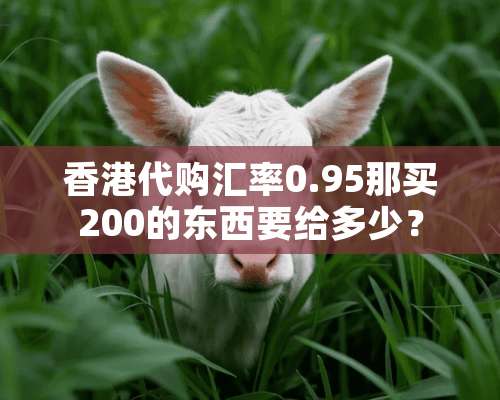 香港代购汇率0.95那买200的东西要给多少？