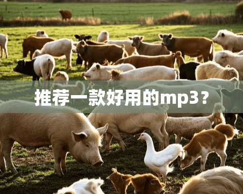 推荐一款好用的mp3？