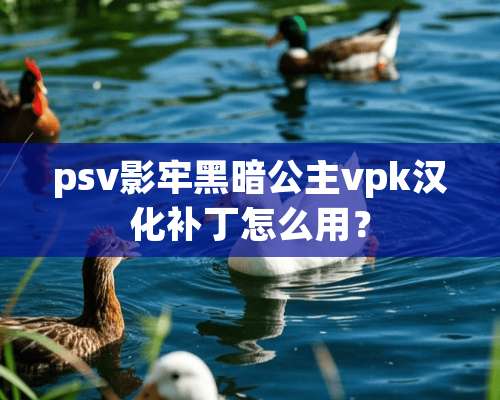 psv影牢黑暗公主vpk汉化补丁怎么用？