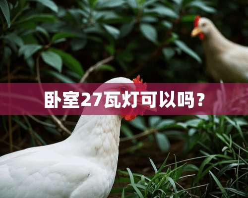 卧室27瓦灯可以吗？