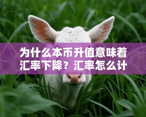 为什么本币升值意味着汇率下降？汇率怎么计算的？