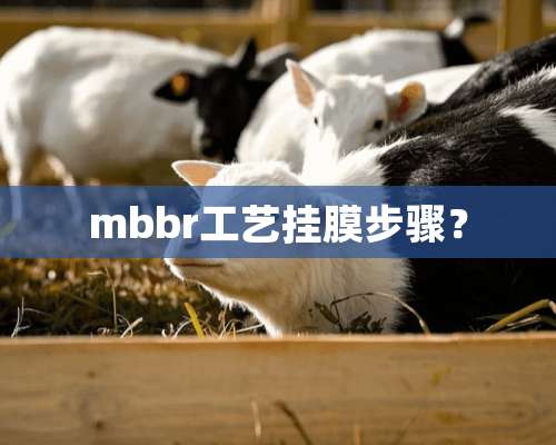 mbbr工艺挂膜步骤？