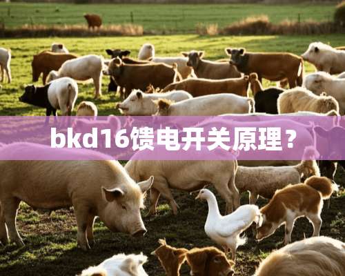 bkd16馈电开关原理？