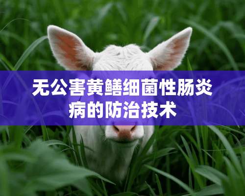 无公害黄鳝细菌性肠炎病的防治技术