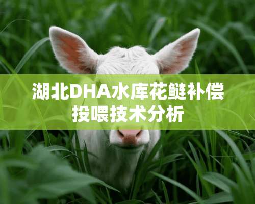 湖北DHA水库花鲢补偿投喂技术分析