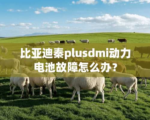 比亚迪秦plusdmi动力电池故障怎么办？