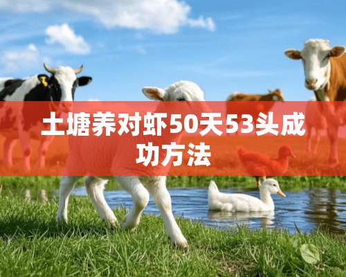 土塘养对虾50天53头成功方法