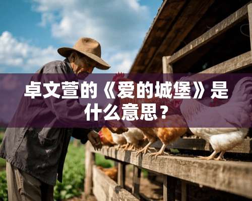 卓文萱的《爱的城堡》是什么意思？