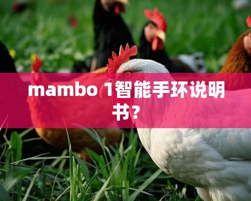 mambo 1智能手环说明书？