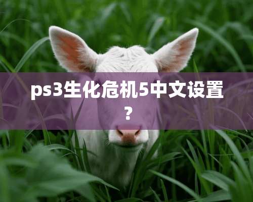 ps3生化危机5中文设置？