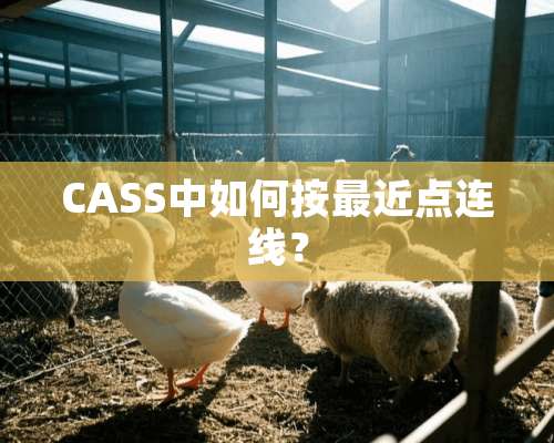 CASS中如何按最近点连线？