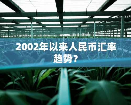 2002年以来人民币汇率趋势？