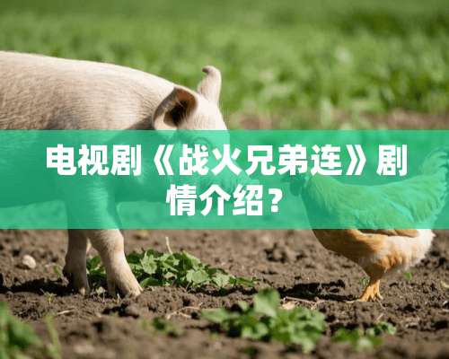 电视剧《战火兄弟连》剧情介绍？