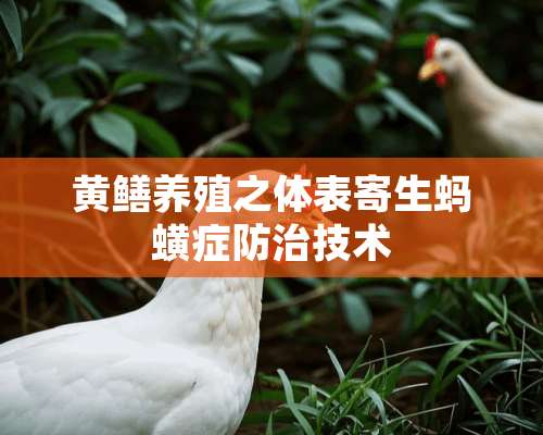 黄鳝养殖之体表寄生蚂蟥症防治技术