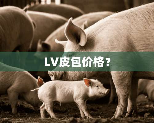 LV皮包价格？