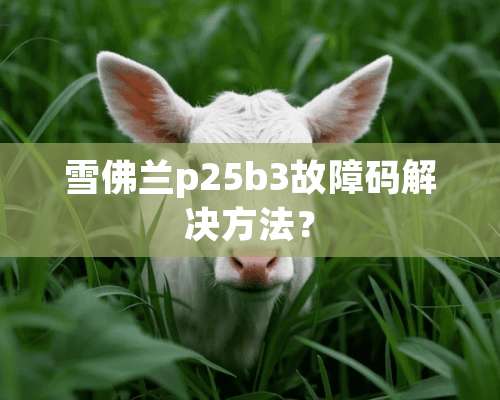 雪佛兰p25b3故障码解决方法？